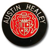 Austin-Healey