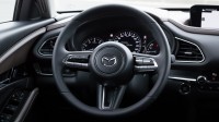 Mazda CX-30 SkyActiv-X 180 2WD Luxury