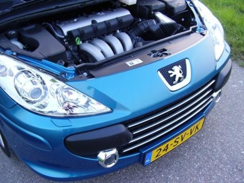 Peugeot 307 CC 2.0-16v 177pk Sport